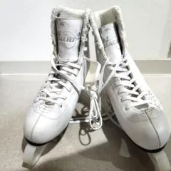 Item thumbnail for item 251781e3-bddc-42ff-93dc-41fbc2dc73eb