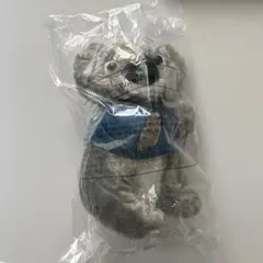 Item thumbnail for item 52b1502a-a7d7-42be-aa57-098a1b78c156