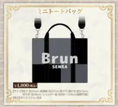 センラ Brun ミニトート