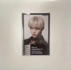 Stray Kids フィリックス ODDINARYトレカ