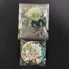 鬼滅の刃 不死川実弥 ピタコレクション アクリルキーホルダー 缶バッジ
