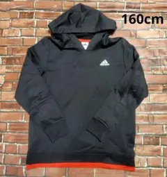 Item thumbnail for item 9c05b064-d626-49ce-a14e-3411e3b32fc5