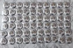 風楽奏斗 ART OF NIJISANJI 缶バッジ