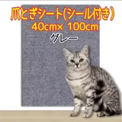 Item thumbnail for item 91a2ef3c-c009-48f8-a724-d7ec6ca687d7