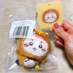 【値下げ】ちいかわ たぬきだもんくじ C賞　古本屋