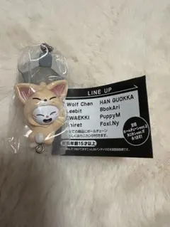 SKZOO ジニレット × フォクシニー つまんでつなげてますこっと