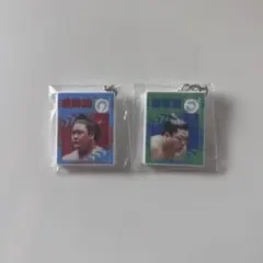 Item thumbnail for item fb1df7b6-2842-4558-b5a0-bfea30c3b1ea