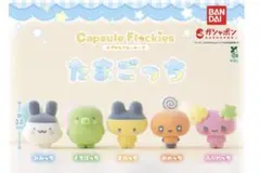たまごっち カプセルフロッキーズ　5種　コンプリート　フロッキー　フィギュア