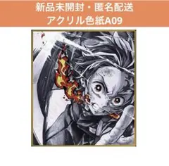 鬼滅の刃 webshopくじ アクリル色紙 竈門炭治郎 A09
