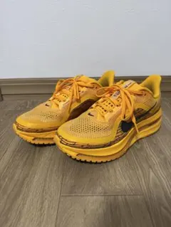 【みよしの原付ライダー様専用】Nike Pegasus Premium “