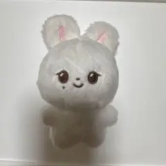 SEVENTEEN ジョンハン ぬいぐるみ　ドール　マスター JJONGCOM