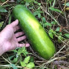 メル78417様 リクエスト 2点 まとめ商品