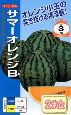 to様 リクエスト 5点 まとめ商品