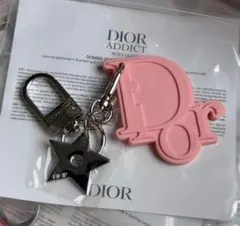 ChristianDior キーホルダー　キーリング　トロッター　ピンク ピンク系 Dior(ディオール) キーホルダー・キーリング(レディース