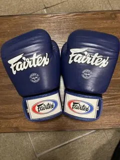 2026年最新】fairtex ボクシンググローブ 16ozの人気アイテム - メルカリ