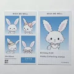 サンリオキャラクターズ　証明写真風スマロイド 証明写真 ウィッシュミーメル