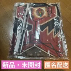 EXILE THE REASON アプグレグッズ　フラッグ付き