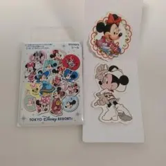 東京ディズニーリゾート ミニーマウス ステッカー シール