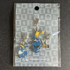 ✨【未使用】メガカメックス カメックス メタルチャーム ポケモン メガ 