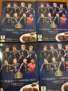 アパカレー　日本代表　4個セットのサムネイル
