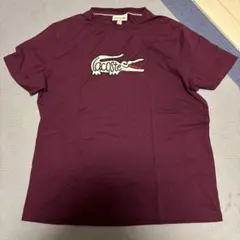 ラコステ メンズTシャツ サイズL