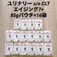 Item thumbnail for item 3157430f-06cd-40cd-8d77-420ec4f1123c