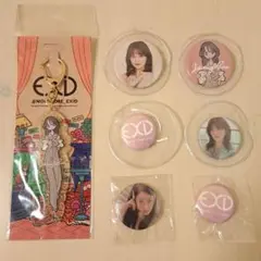 EXID アクリルキーホルダー 缶バッジ ジョンファ ヘリン