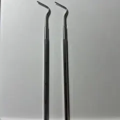 2026年最新】根管の人気アイテム - メルカリ