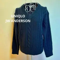 UNIQLO JW ANDERSON Vネック　ケーブル　ニット　ネイビー