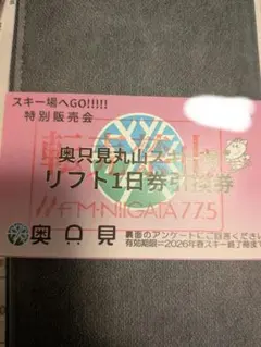 2026年最新】奥只見丸山スキー場リフト券の人気アイテム - メルカリ
