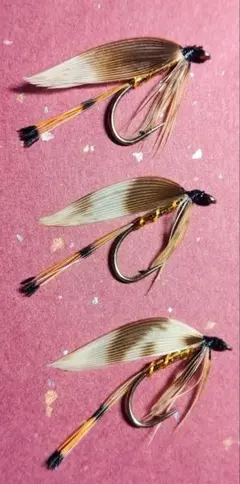 Item thumbnail for item b081e019-4e22-432a-ba8e-0ad0650a02be