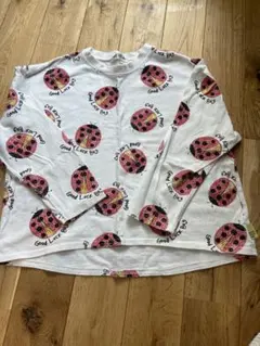 Item thumbnail for item 4e89a316-567f-469e-93e8-1500b7deb3fa