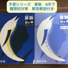 2026年最新】予習シリーズ 6年の人気アイテム - メルカリ
