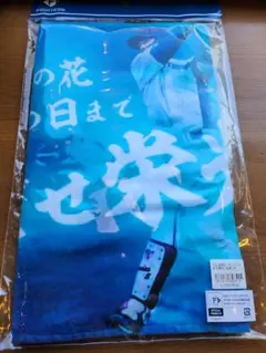 Item thumbnail for item 3bae8084-89c9-423a-9c50-541124f60cf2