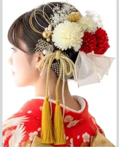 Hanalier] 卒業式 成人式 髪飾り 30パーツ プリザーブドフラワー