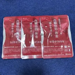 Item thumbnail for item 972723a6-78e2-4979-a2f1-3bca6b1a86d3