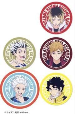 ハイキュー!!クリアステッカー(星海 光来)