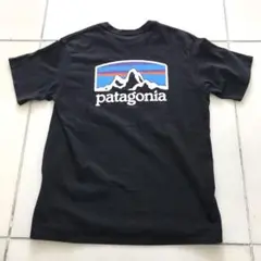 patagonia 波ロゴ Tシャツ サーフ UPF 50 - メルカリ
