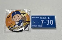 北海道日本ハムファイターズ　水野達稀
