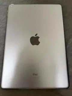 Apple iPad 無印第9世代 本体のみ