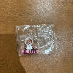 MINITEEN SEVENTEEN ぷっくりめじるしアクセサリー ウジ