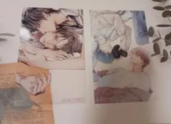 美しい彼　特典　クリアカード