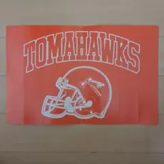 【非売品】法政大学 アメリカンフットボール部 応援メガホン