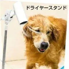 Item thumbnail for item 788bc4cf-1c54-4a4d-b19c-c8890e589b6a