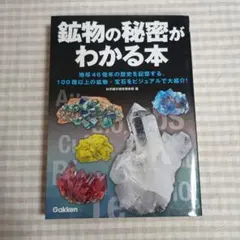 鉱物の秘密がわかる本