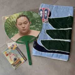 Item thumbnail for item 588e5784-0e32-4aaa-9e93-b7130326034f