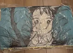 僕のヒーローアカデミア 沈むんだけどすごくない？クッション　ヒロアカ