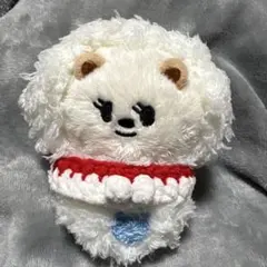 プルバトゥ バムグッ キーリング サイズ 10cm ぬい リボン 服 - メルカリ