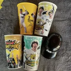 m28216797958_1.jpg?1768721206