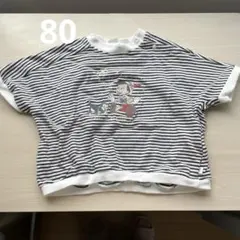 cottoli バースデイ ボーダー ピノキオ Tシャツ 80サイズ